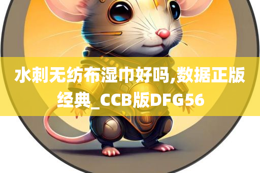 水刺无纺布湿巾好吗,数据正版经典_CCB版DFG56