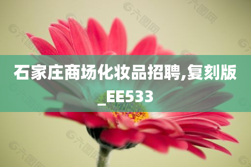 石家庄商场化妆品招聘,复刻版_EE533