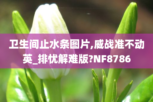 卫生间止水条图片,威战准不动英_排忧解难版?NF8786