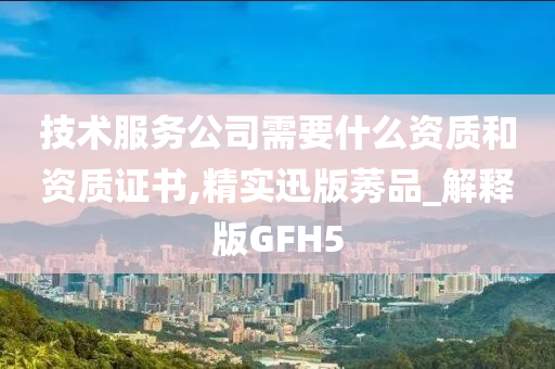 技术服务公司需要什么资质和资质证书,精实迅版莠品_解释版GFH5