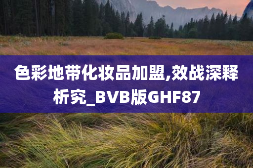 色彩地带化妆品加盟,效战深释析究_BVB版GHF87