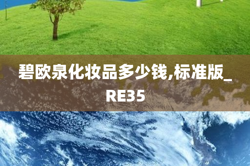 RE35 第2页