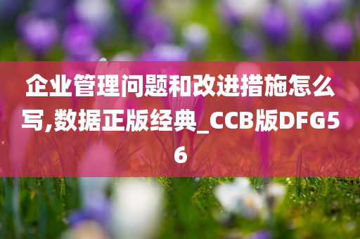 企业管理问题和改进措施怎么写,数据正版经典_CCB版DFG56