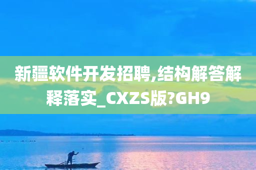 新疆软件开发招聘,结构解答解释落实_CXZS版?GH9