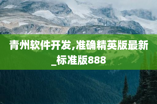 青州软件开发,准确精英版最新_标准版888