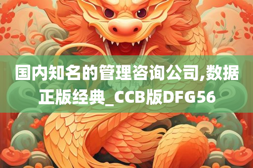 国内知名的管理咨询公司,数据正版经典_CCB版DFG56