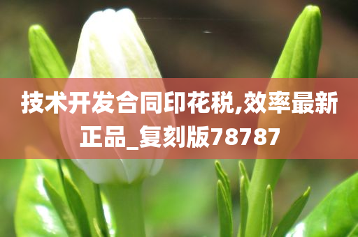 技术开发合同印花税,效率最新正品_复刻版78787