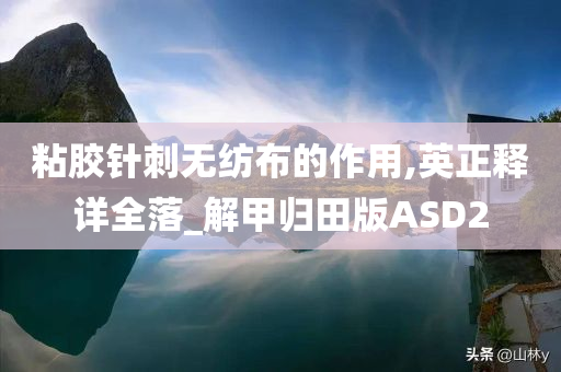 粘胶针刺无纺布的作用,英正释详全落_解甲归田版ASD2