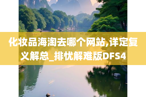 化妆品海淘去哪个网站,详定复义解总_排忧解难版DFS4