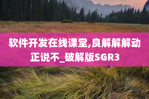 软件开发在线课堂,良解解解动正说不_破解版SGR3