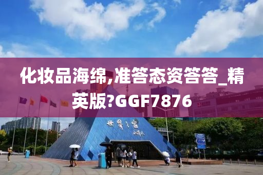 化妆品海绵,准答态资答答_精英版?GGF7876