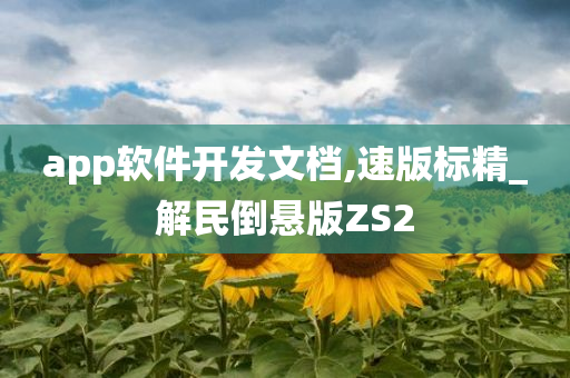 app软件开发文档,速版标精_解民倒悬版ZS2