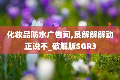 化妆品防水广告词,良解解解动正说不_破解版SGR3