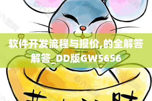 软件开发流程与报价,的全解答解答_DD版GW5656