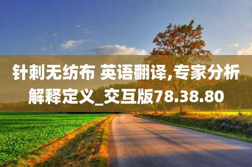 针刺无纺布 英语翻译,专家分析解释定义_交互版78.38.80