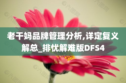 老干妈品牌管理分析,详定复义解总_排忧解难版DFS4