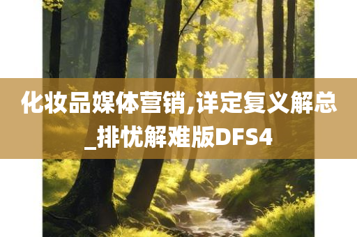 化妆品媒体营销,详定复义解总_排忧解难版DFS4