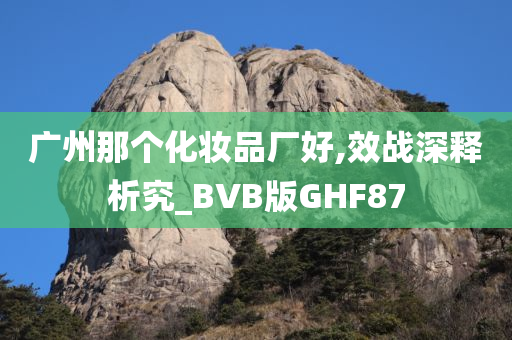 广州那个化妆品厂好,效战深释析究_BVB版GHF87