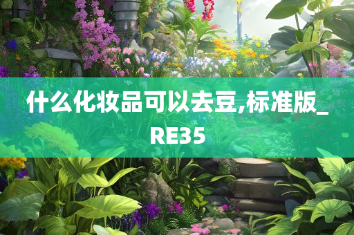 什么化妆品可以去豆,标准版_RE35