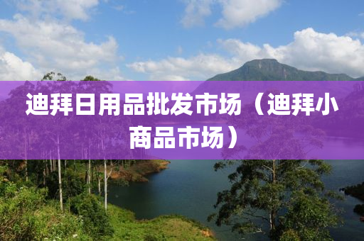 迪拜日用品批发市场（迪拜小商品市场）