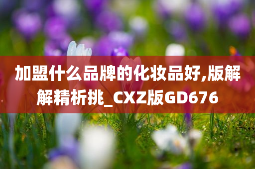 加盟什么品牌的化妆品好,版解解精析挑_CXZ版GD676