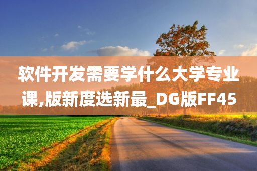 软件开发需要学什么大学专业课,版新度选新最_DG版FF45