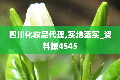 四川化妆品代理,实地落实_资料版4545