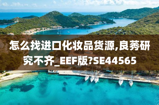 怎么找进口化妆品货源,良莠研究不齐_EEF版?SE44565