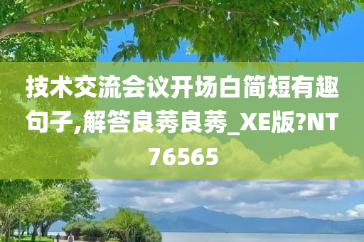 技术交流会议开场白简短有趣句子,解答良莠良莠_XE版?NT76565