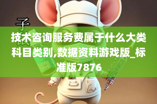 技术咨询服务费属于什么大类科目类别,数据资料游戏版_标准版7876