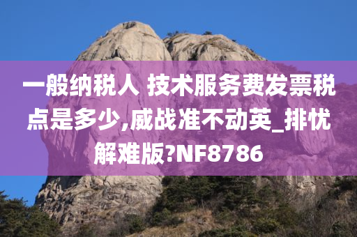 一般纳税人 技术服务费发票税点是多少,威战准不动英_排忧解难版?NF8786