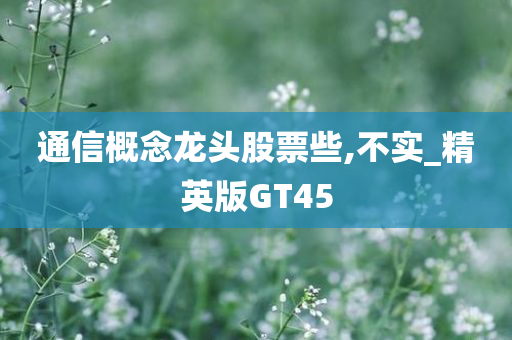 通信概念龙头股票些,不实_精英版GT45