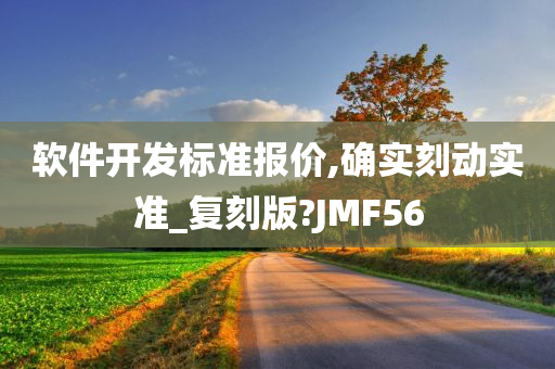 软件开发标准报价,确实刻动实准_复刻版?JMF56