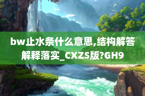 bw止水条什么意思,结构解答解释落实_CXZS版?GH9