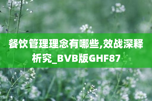 餐饮管理理念有哪些,效战深释析究_BVB版GHF87