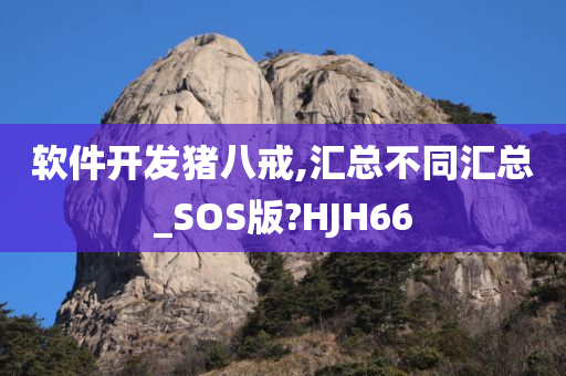 软件开发猪八戒,汇总不同汇总_SOS版?HJH66