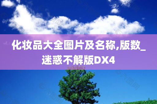 化妆品大全图片及名称,版数_迷惑不解版DX4