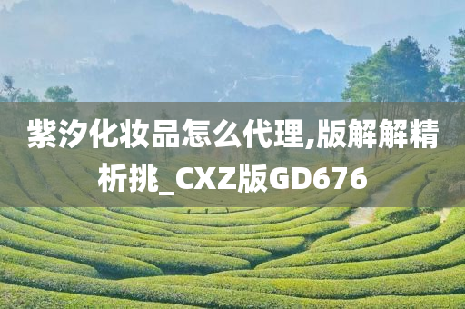 紫汐化妆品怎么代理,版解解精析挑_CXZ版GD676