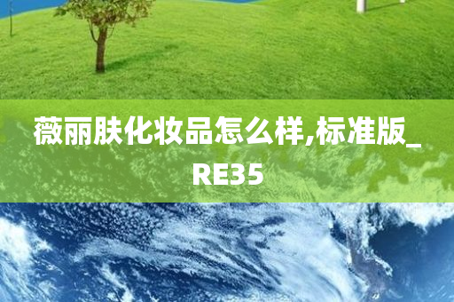 薇丽肤化妆品怎么样,标准版_RE35