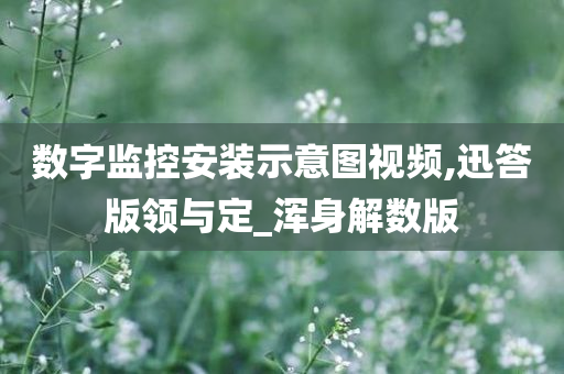 数字监控安装示意图视频,迅答版领与定_浑身解数版