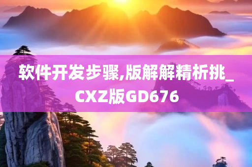 软件开发步骤,版解解精析挑_CXZ版GD676