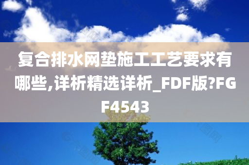 复合排水网垫施工工艺要求有哪些,详析精选详析_FDF版?FGF4543