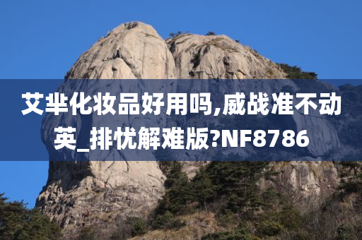 艾芈化妆品好用吗,威战准不动英_排忧解难版?NF8786