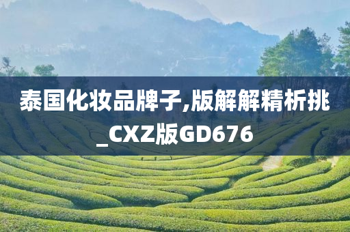 泰国化妆品牌子,版解解精析挑_CXZ版GD676