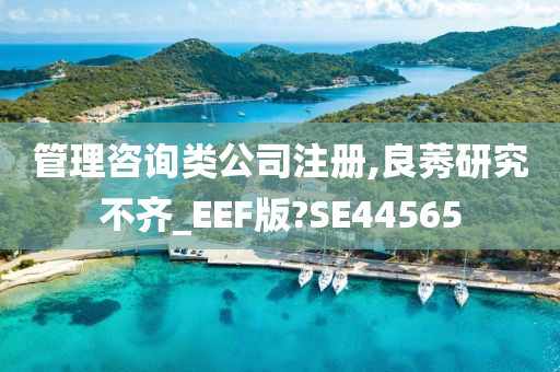 管理咨询类公司注册,良莠研究不齐_EEF版?SE44565