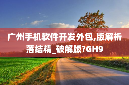 广州手机软件开发外包,版解析落结精_破解版?GH9