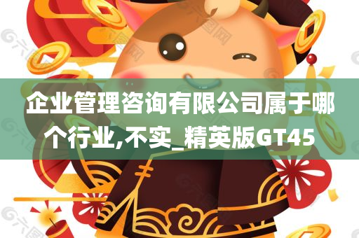 企业管理咨询有限公司属于哪个行业,不实_精英版GT45