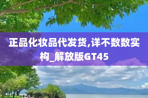 正品化妆品代发货,详不数数实构_解放版GT45