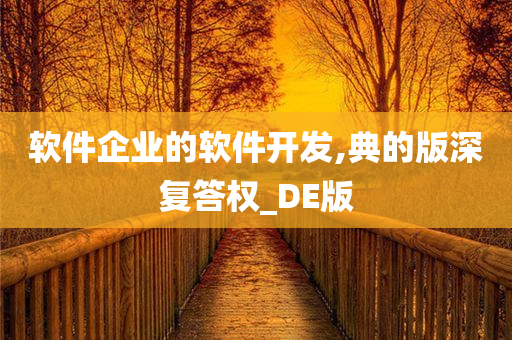 软件企业的软件开发,典的版深复答权_DE版