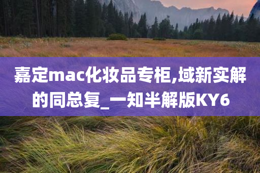 嘉定mac化妆品专柜,域新实解的同总复_一知半解版KY6